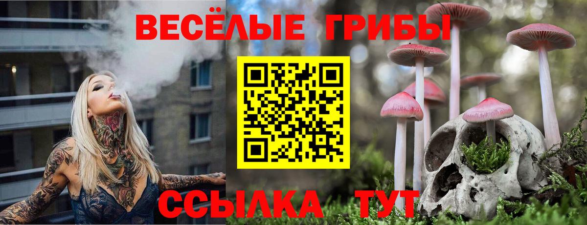 Псилоцибиновые грибы мицелий Тимашёвск
